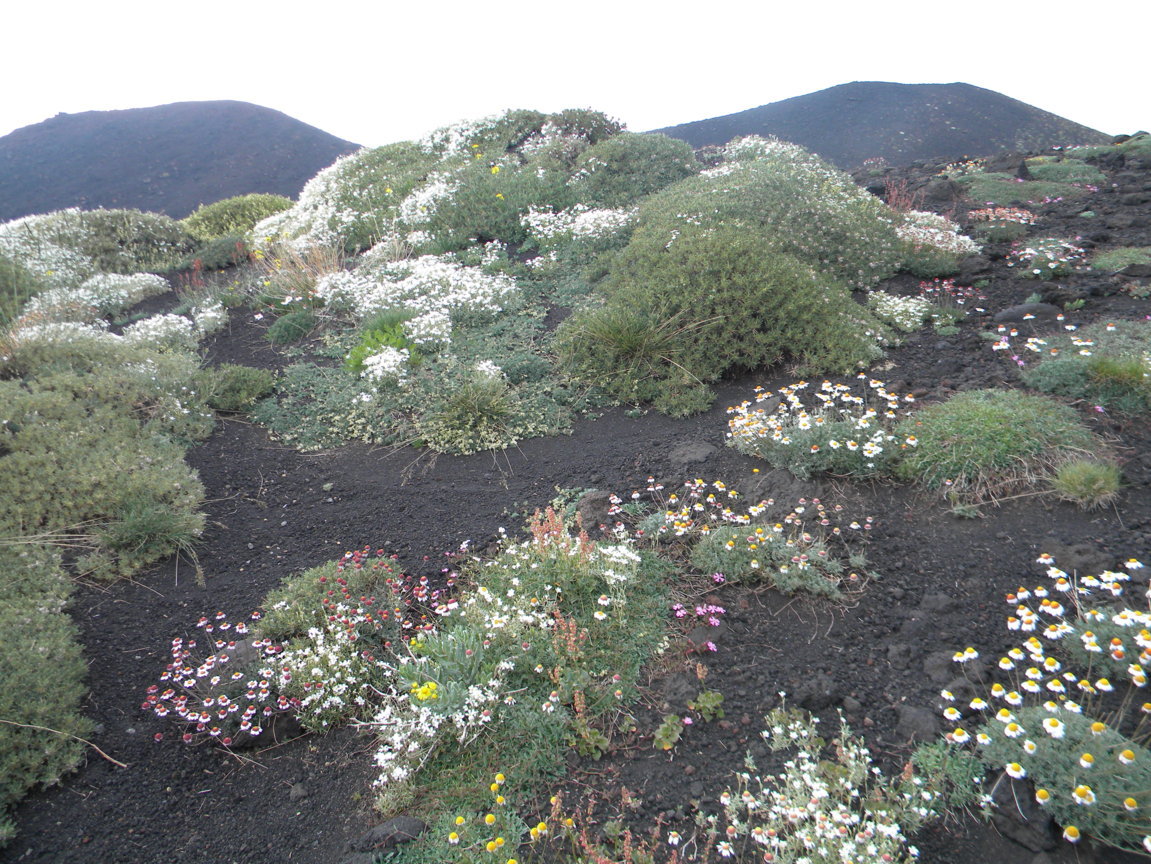 DSCN9507 .JPG
